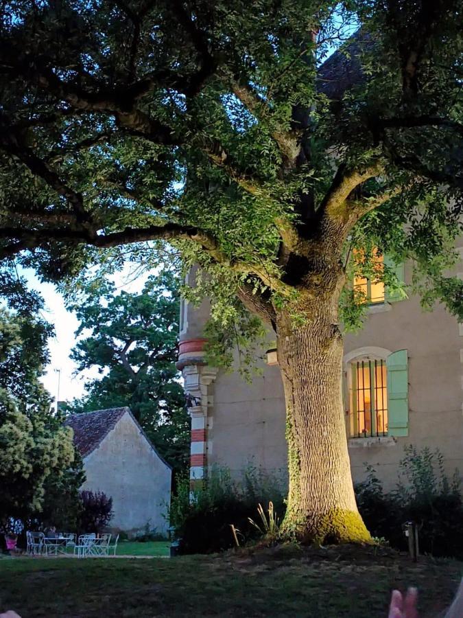 Chateau Du Mauny, Gites Et Chambres D'Hotes En Bourgogne Rosey Exterior photo